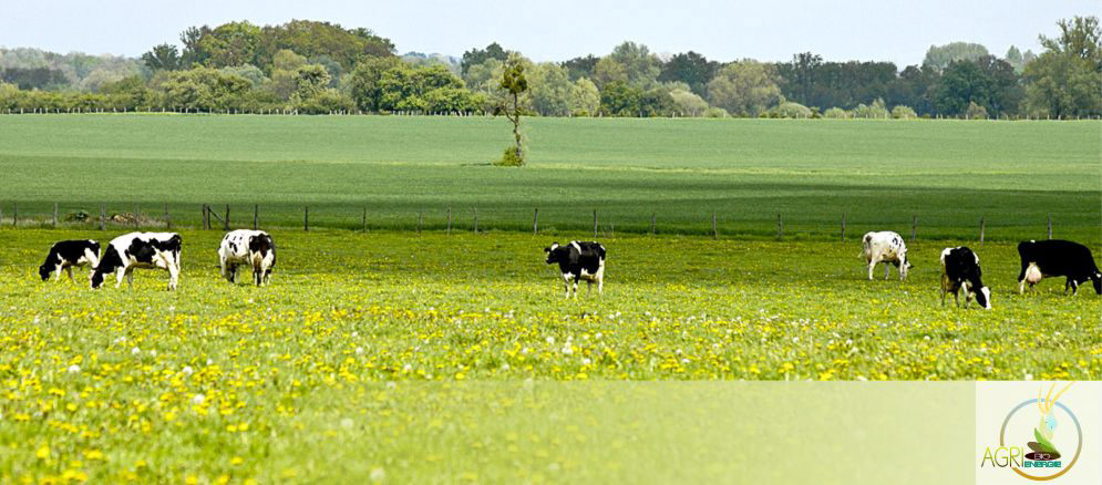 Agri Bio nergie pour une Gestion responsable & co-durable de vos dchets organiques  etreville en normandie