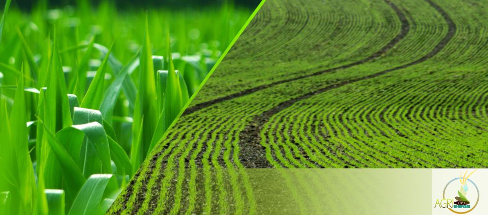 Agri Bio énergie unité de méthanisation vous associe à cette alternative positive :ensemble, protégeons l’environnement & préservons nos ressources à etreville